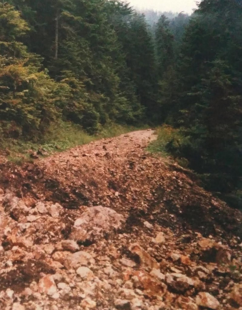 iz-novinarske-beleznice-secanja-na-srebrenicu-body-image-1436611168