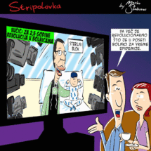 stripolovka013ezgif-800