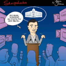 stripolovka014ezgif (1)