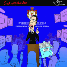 stripolovka016ezgifresize-op