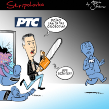 stripolovka17color-a