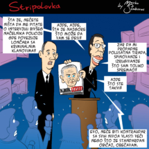 stripolovka031color