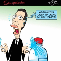 stripolovka037color-crop