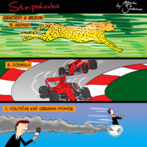 stripolovka039color