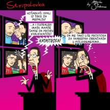 stripolovka042color-1024x1024