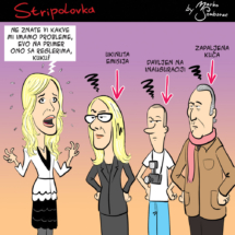 stripolovka048cmzk-a