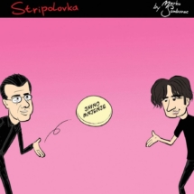 stripolovka050img