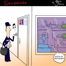 stripolovka051color (1)